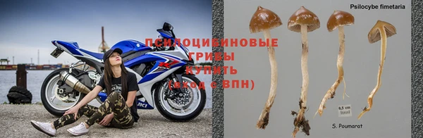 PSILOCYBIN Наволоки